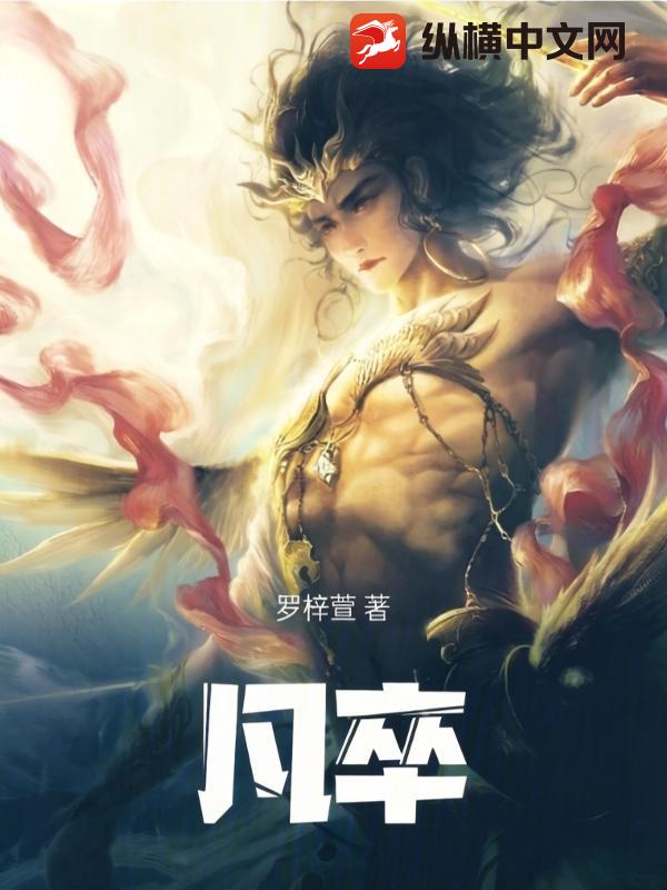 凡卒 封面