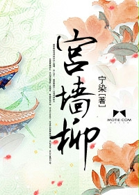 宮牆柳 封面