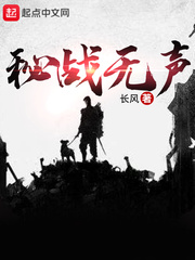 秘战无声 封面