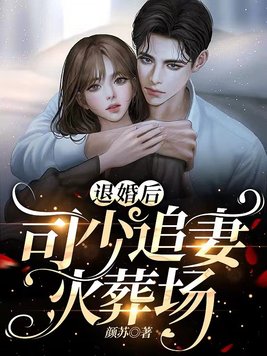 歐顏司夜辰 封面