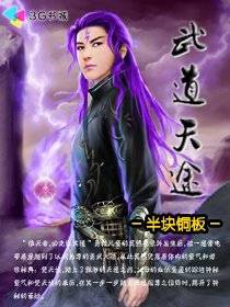 武道天途 封面