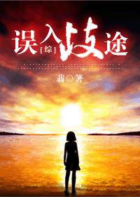 誤入歧途