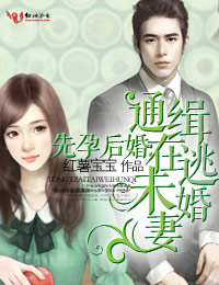 先孕後婚:通緝在逃未婚妻