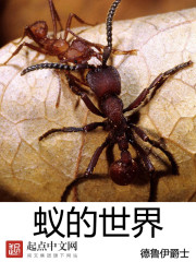 蟻的世界 封面