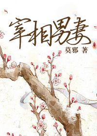 宰相男妻 封面
